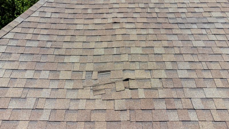 Asphalt Roof Inspection in Lansdale, PA