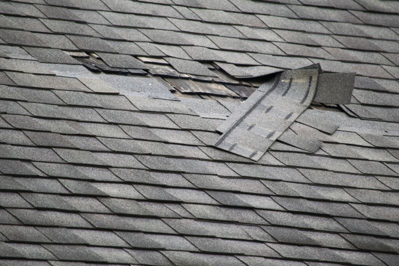 Asphalt Roof Leak Repair in Yorklyn, DE