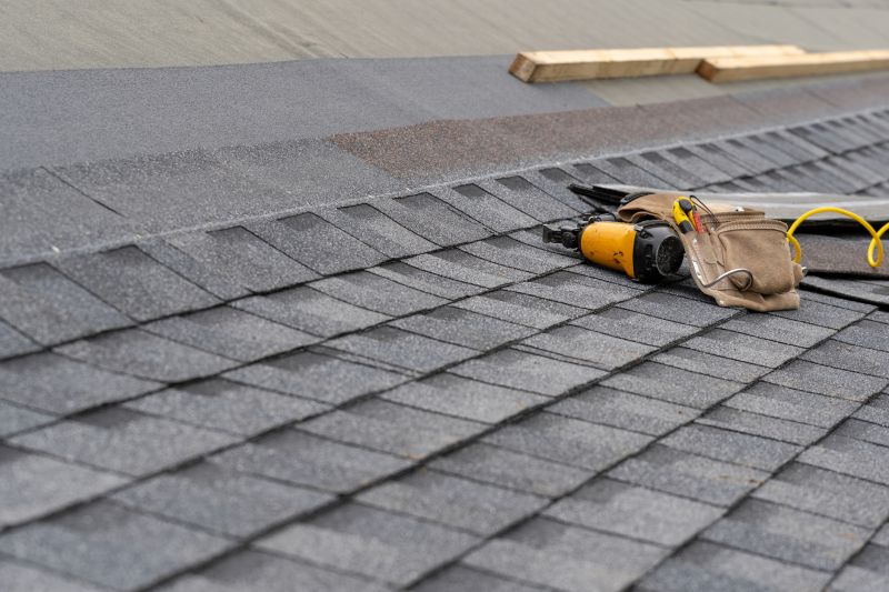 Asphalt Roof Repair in Aston, PA