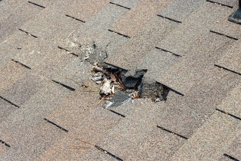 Asphalt Roof Replacement in Media, PA