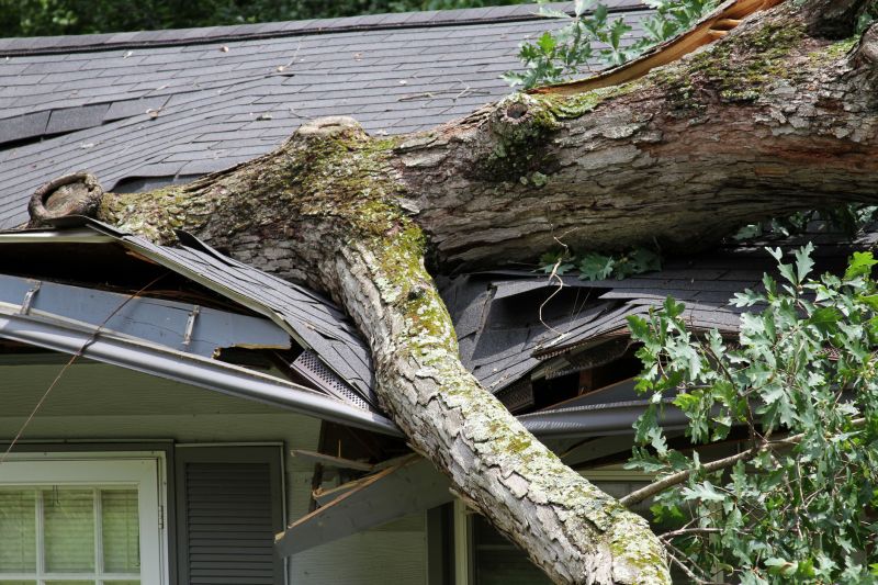 Asphalt Roofing Service in Exton, PA