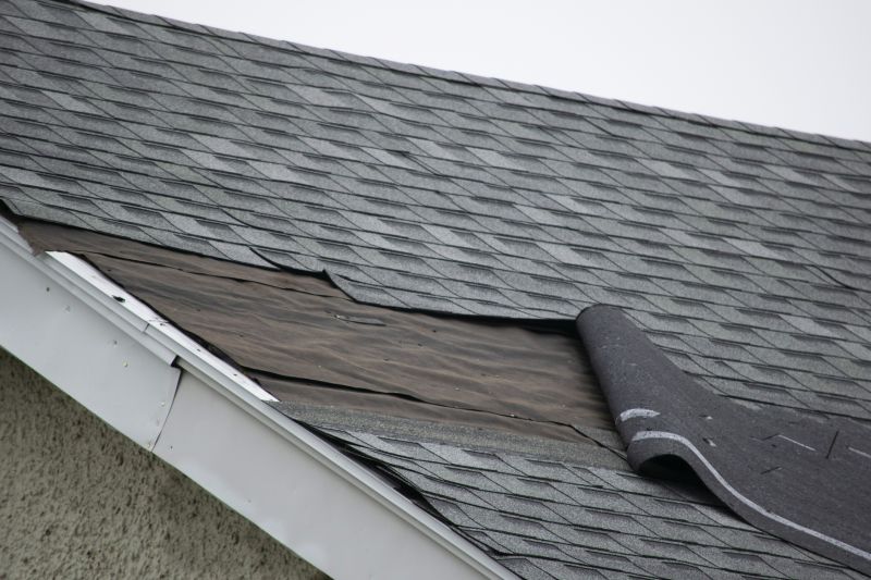 Asphalt Shingles Repair in Exton, PA
