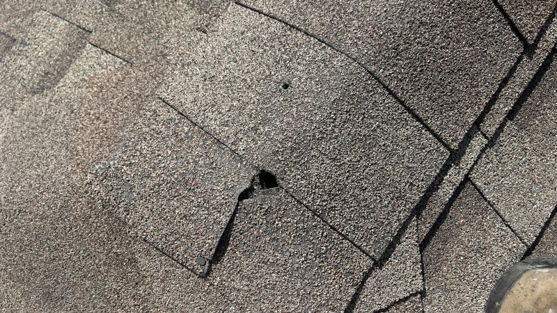 Damaged Roof Repair in Chester Springs, PA