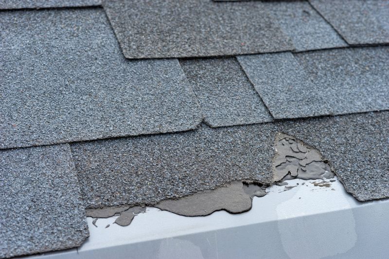 Damaged Roof Repair in Cochranville, PA