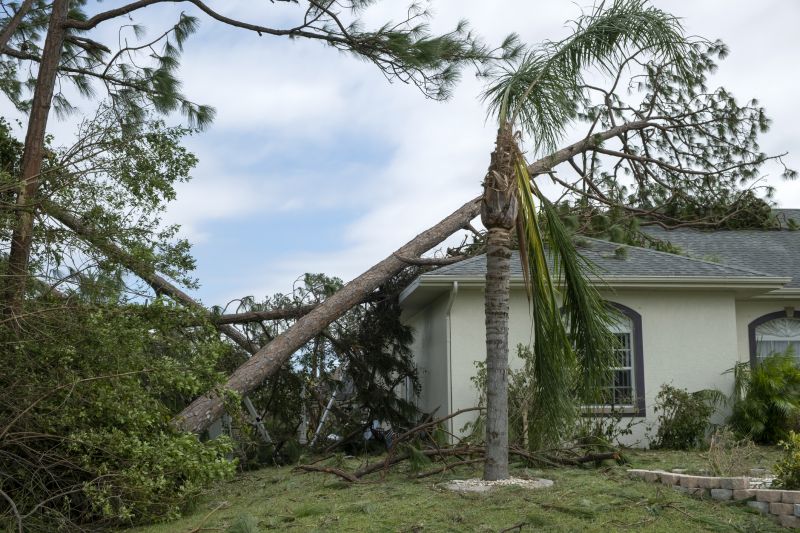 Storm Damage Roof Repair in Douglassville, PA
